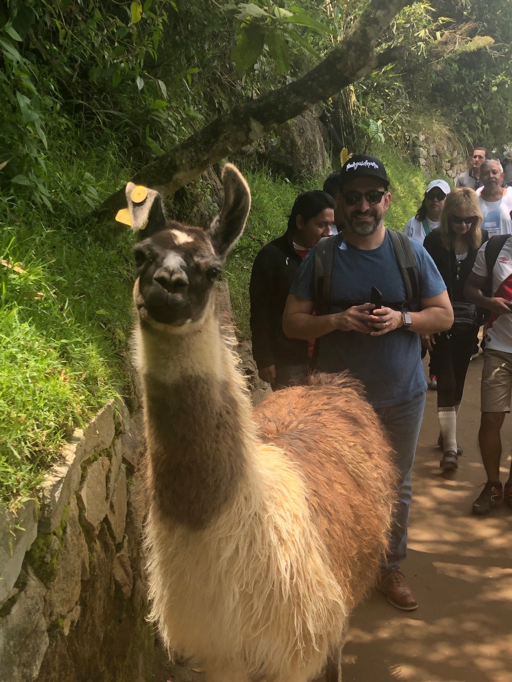 DhGlDjEPRX6sxVGUidEjEQ